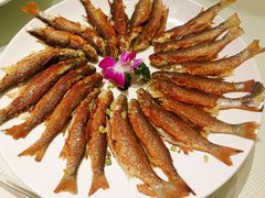 -金苑海鲜酒家(来魅力店)