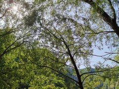 -碓臼峪自然风景区