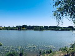 -东郊湿地公园