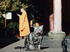 -龙华寺