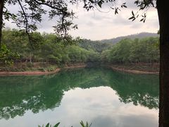 -红花湖景区