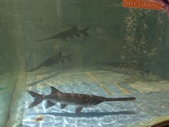 -漓江又一軒·广西菜·桂林米粉(梅林店)