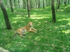 -北京野生动物园