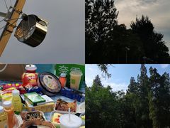 -天津水上公园
