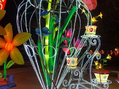 -长春市南湖公园