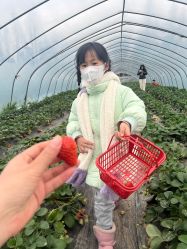 -前小桔亲子创意农场·草莓采摘·露营烧烤