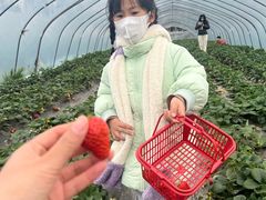 -前小桔亲子创意农场·草莓采摘·露营烧烤