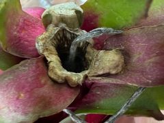 -大润发(东关世茂店)