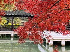 -虎丘山风景名胜区