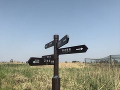 -盐城丹顶鹤湿地生态旅游区