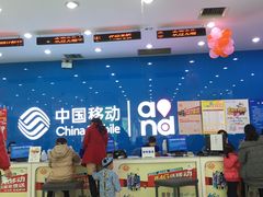 -中国移动(高升桥营业厅)