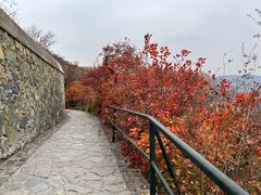 -香山公园