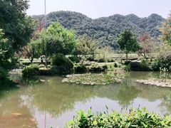 -中国茶叶博物馆(双峰馆区)