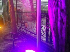 -莫多多餐厅