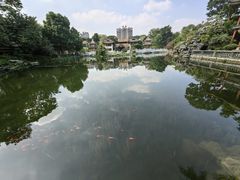 -顺峰山公园