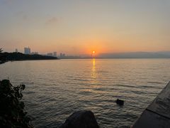 -深圳湾公园(南山区)