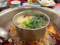 -金鼎雪山牦牛杂火锅(理县总店)