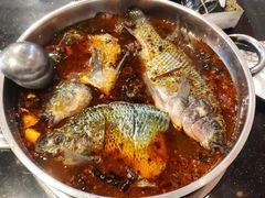 -草墩罗非鱼庄•野生菌•腊排骨(七星街上段店)