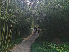 -狼山风景名胜区