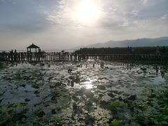 -敕勒川草原