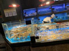 水产区-徐记海鲜(大明宫|北二环店)