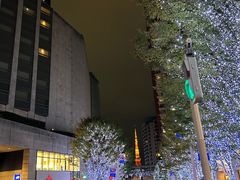 -六本木新城展望台(东京城市景观)