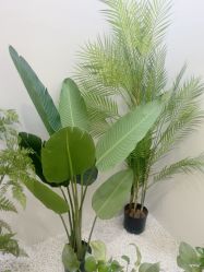 -VE专注问题肌·赛诺龙&科学美肤中心