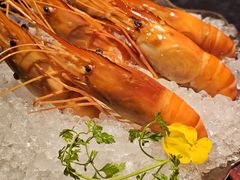 -醉东Oriental House(静安嘉里中心店)