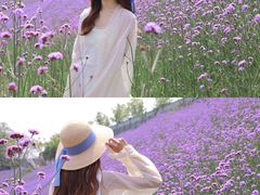 -石井坡(地铁站)