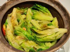 啫啫生菜煲-陶陶居酒家(美院店)