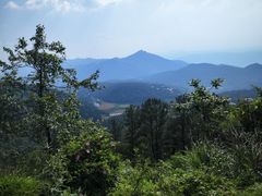 -武陵山森林公园