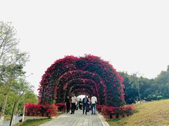 -东莞植物园