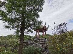 -顺峰山公园