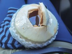 -百果园PAGODA(西四地铁站店)