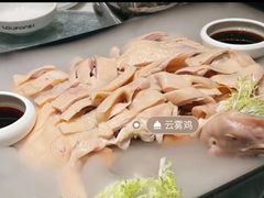 -老伙记海鲜码头(北滘店)