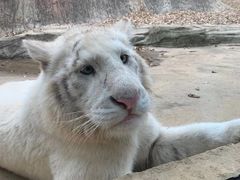-杭州野生动物世界