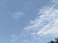 -木塔寺遗址生态公园