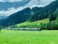 -毛记冒菜(长征路店)