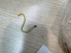 -项记面馆(明瓦廊店)