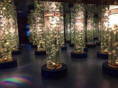 -梦幻海洋王国(吾悦广场张家港店)