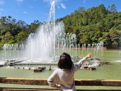 -广州白江湖森林公园