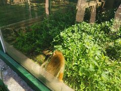 -无锡动物园·太湖欢乐园