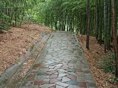 -北仑森林植物园