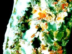 android_upload_pic-美滋每客(亲贤北街店)