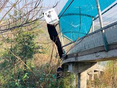 -溪霞怪石岭生态公园