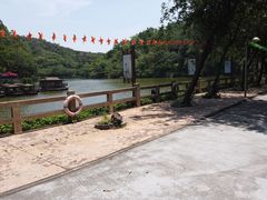 -李小龙乐园(顺德均安店)