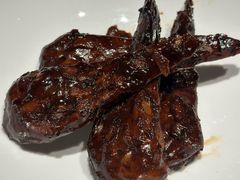 -杨氏青龙虾·羊蝎子(托乐嘉店)