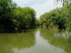 -长兴太湖图影湿地文化园
