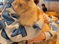 -凯德广场(武胜路店)