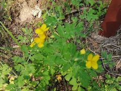 -碓臼峪自然风景区